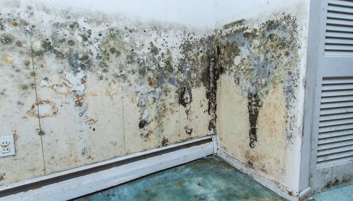 Mold Damager Odor Control Appleton, WI