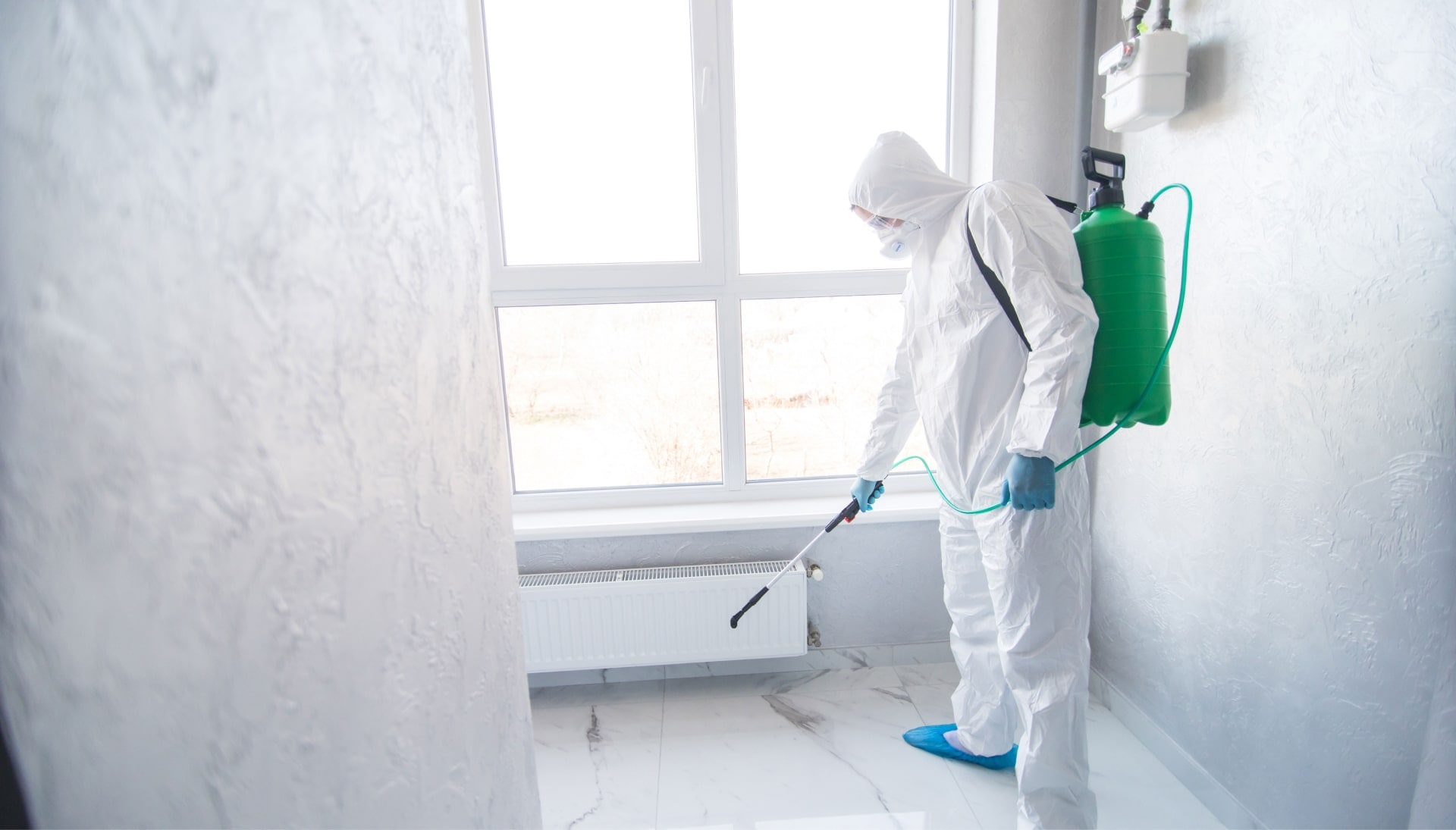 Mold Inspection services Appleton, WI
